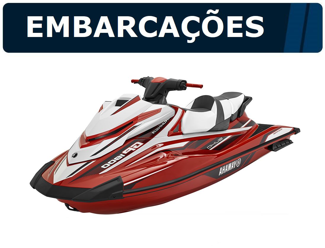 Leilão de Embarcações 