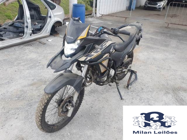 Lote 31