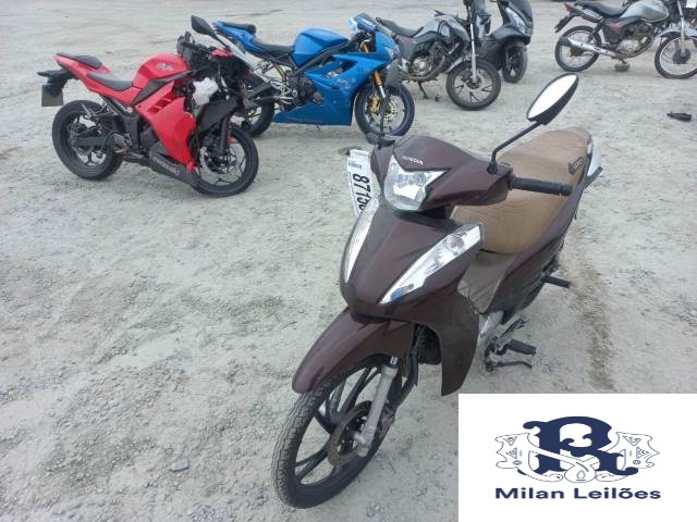 Lote 12