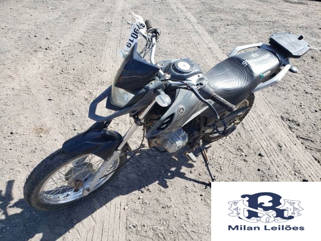 Lote 20