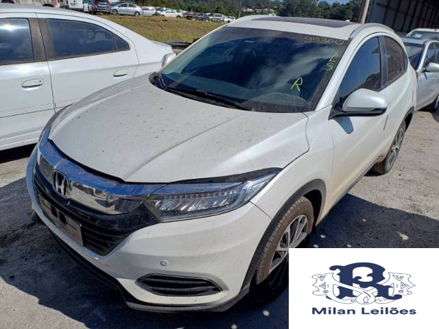Lote 12