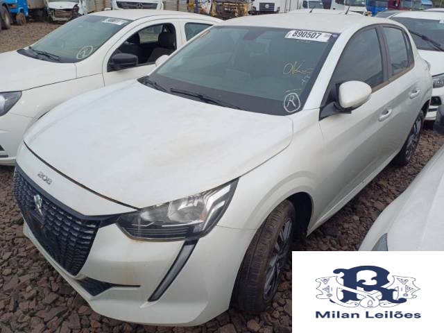 Lote 15
