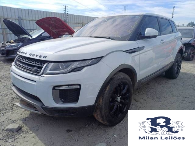Lote 19