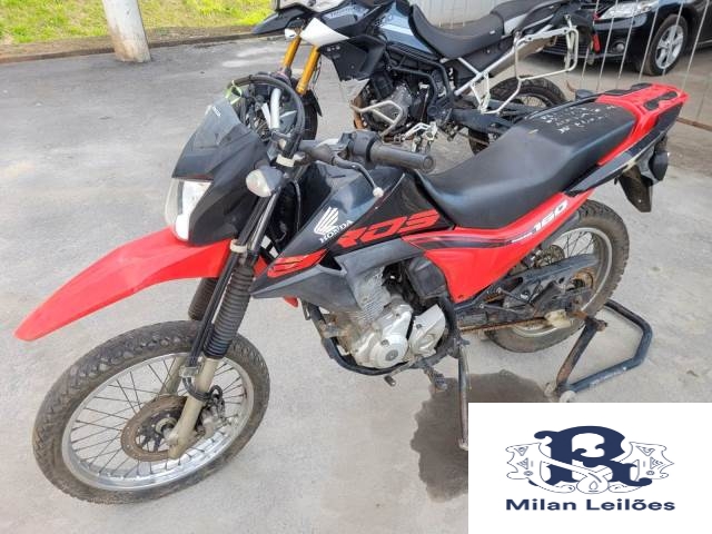 Lote 7