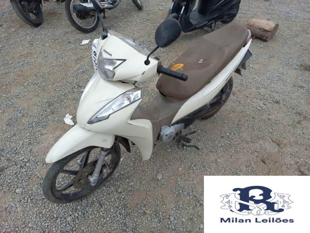 Lote 10