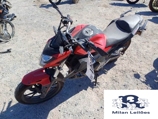 Lote 19