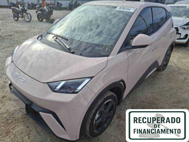 BYD DOLPHIN MINI 24/25