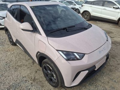 BYD DOLPHIN MINI 24/25